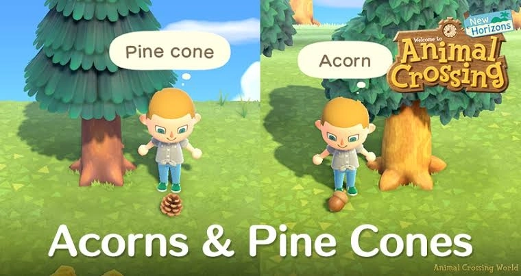 Acorn & Pine Cone DIY Guide: Season Dates, Material Farming & Full Recipe List