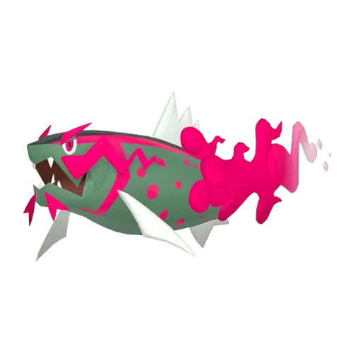 #0902 Basculegion Male Legit Battle Ready 6IVs In-game Delivery SV Pokemon (Scarlet and Violet)