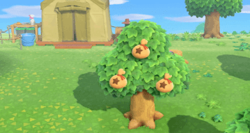 Money Tree - Animal Crossing image