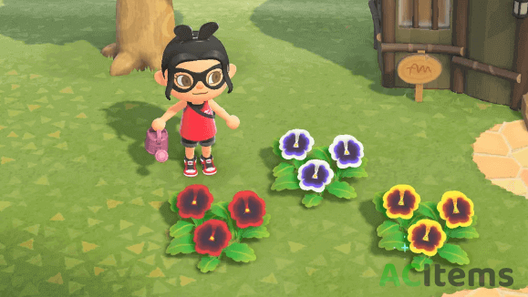 Animal Crossing PANSIES image