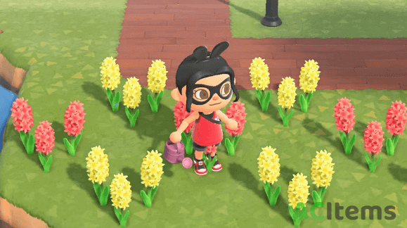 Animal Crossing HYACINTHS image