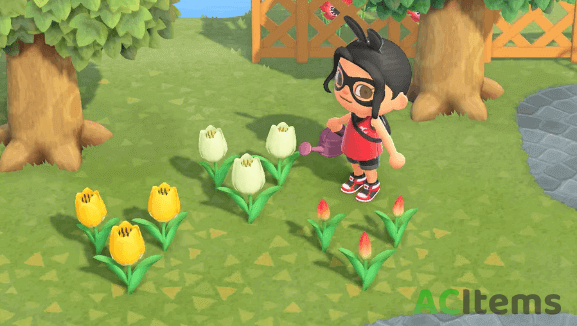 Animal Crossing TULIPS image