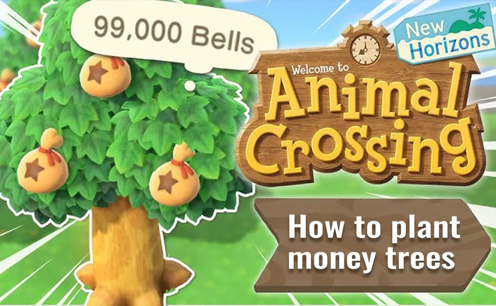 how-to-plant-money-trees