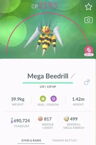 mega evolution timer screen