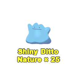 Ditto Bundle(25)