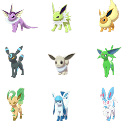 Eevee Bundle
