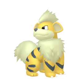 Non-shiny