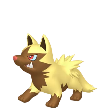 #0261 Poochyena Shiny 6IV Hidden Ability In-game Trade Pkm Go