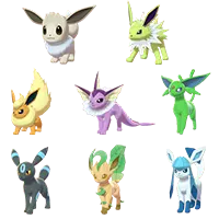 Eevee Bundle(8)