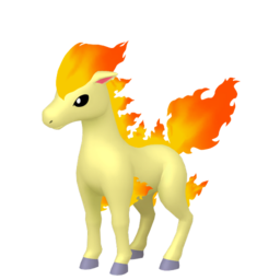 #0077 Ponyta Legit Battle Ready 6IVs In-game Delivery Pkm Go