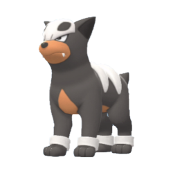 #0228 Houndour Legit Battle Ready 6IVs In-game Delivery Pkm Go
