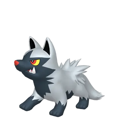 #0261 Poochyena Legit Battle Ready 6IVs In-game Delivery Pkm Go