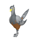 #0521 Unfezant Legit Battle Ready 6IVs In-game Delivery Pkm Go