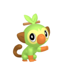 #0810 Grookey Legit Battle Ready 6IVs In-game Delivery Pkm Go