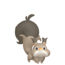 #0819 Skwovet Legit Battle Ready 6IVs In-game Delivery Pkm Go