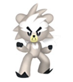 #891 Kubfu