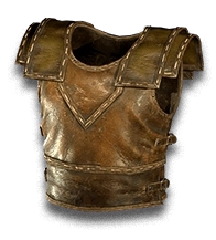 Scarab Husk