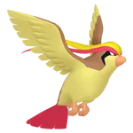 #0018 Pidgeot