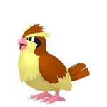 #0016 Pidgey
