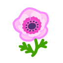 Pink Windflowers(10)