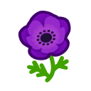 Purple Windflowers(10)