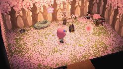 Cherry-Blossoms Theme