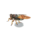 Brown Cicada Model