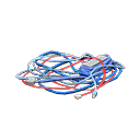 Blue & Red