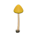 Yellow Mushroom