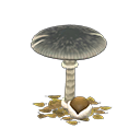 Strange Mushroom