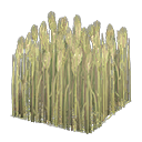 Pale Green