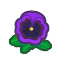 Purple Pansies(10)