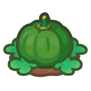 Green-Pumpkin Plant