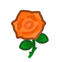 Orange Roses(10)
