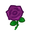 Purple Roses(10)