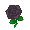 Black Roses(10)