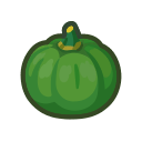 Green Pumpkin(10)