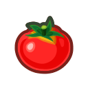 Tomato(10)