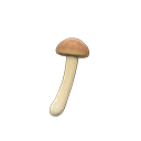 Ordinary Mushroom