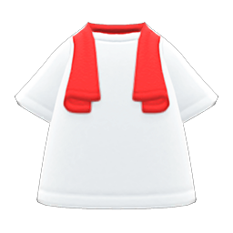Red Towel & White Shirt