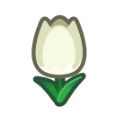 White Tulips(10)