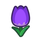 Purple Tulips(10)
