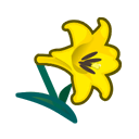 Yellow Lilies(10)