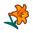 Orange Lilies(10)