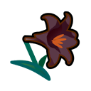 Black Lilies(10)