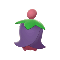 Non-shiny Alpha
