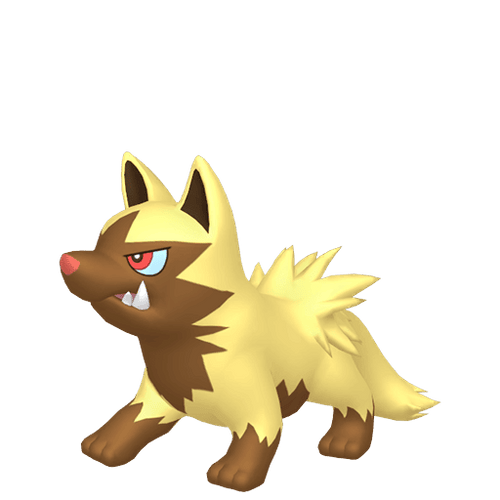 #0261 Poochyena