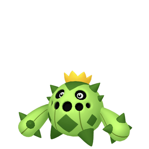 #0331 Cacnea