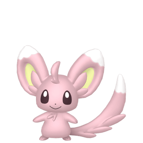 #0572 Minccino
