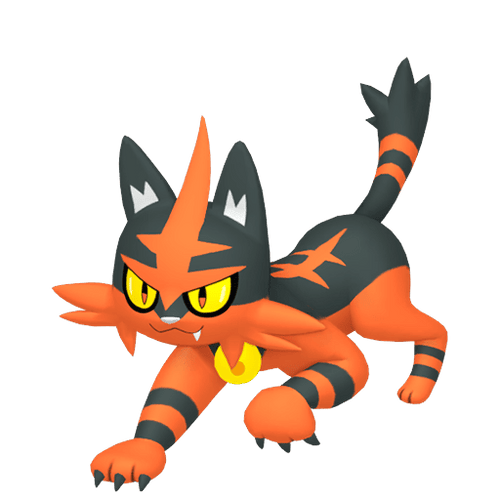 #0726 Torracat
